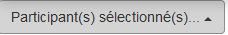 Participant(s) sélectionné(s)